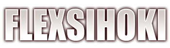 FLEXSIHOKI Logo